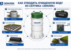Зорде Рейн 15 Миди